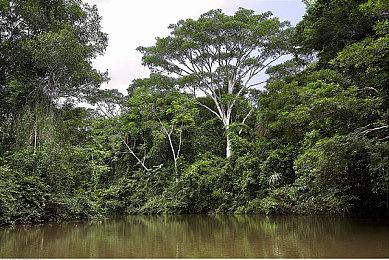 微软《极限竞速：地平线5》玩家人数已超百万